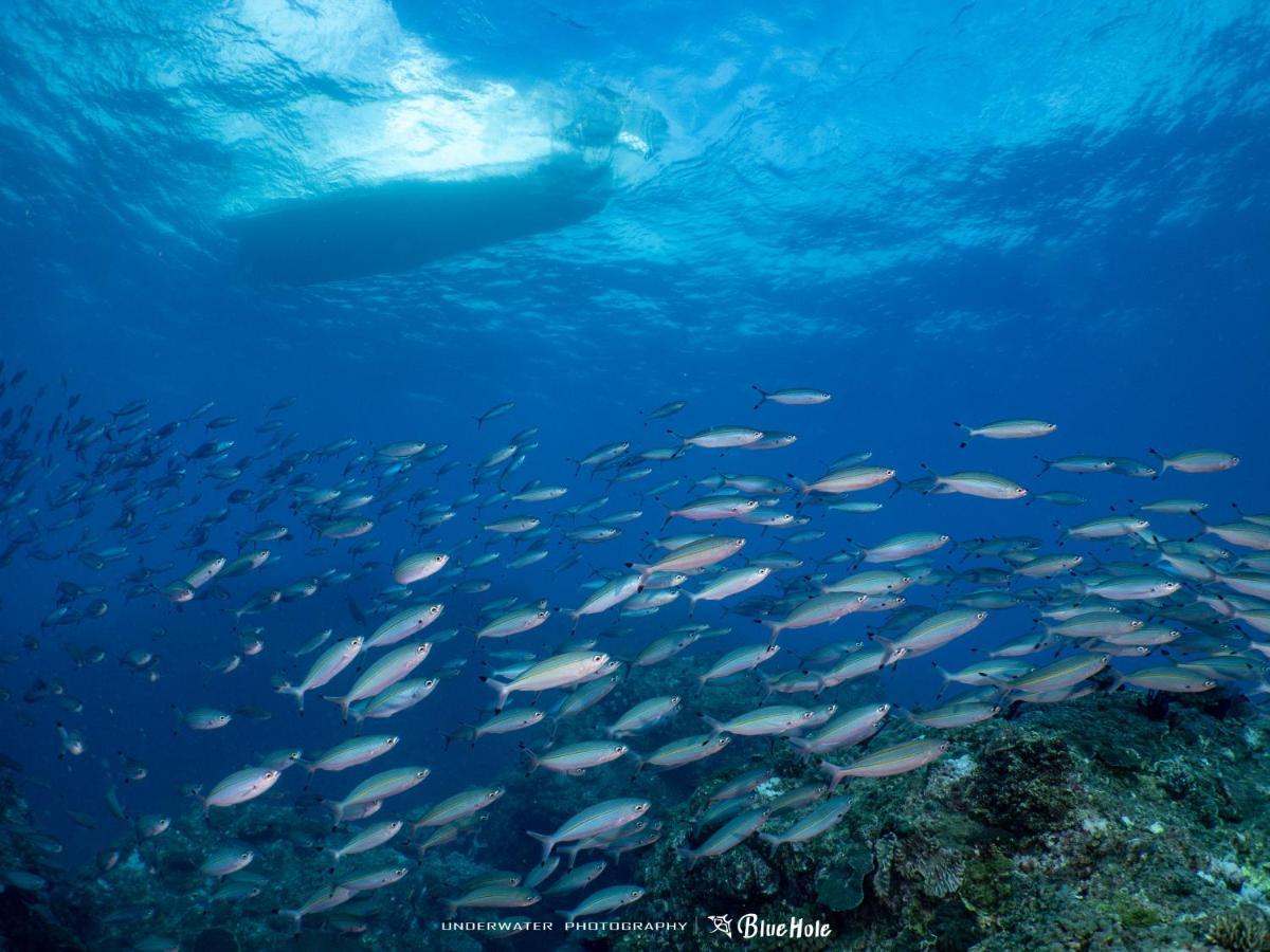 藍洞潛水blue Hole Dive Center Bed & Breakfast Heng-ch'un Exterior foto